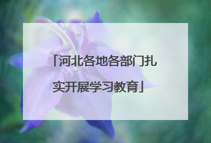 河北各地各部门扎实开展学习教育